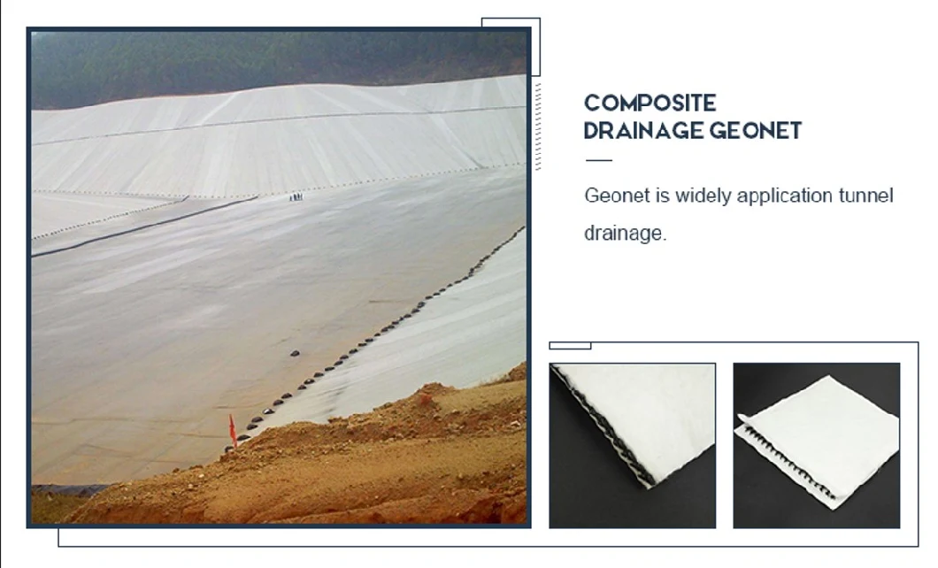 HDPE 3D Composite Geonet Drainage Geowork for Landfill Project