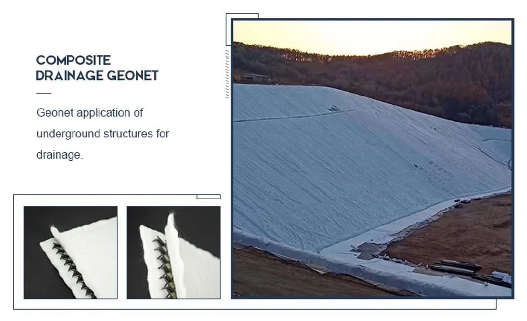 HDPE 3D Composite Geonet Drainage Geowork for Landfill Project