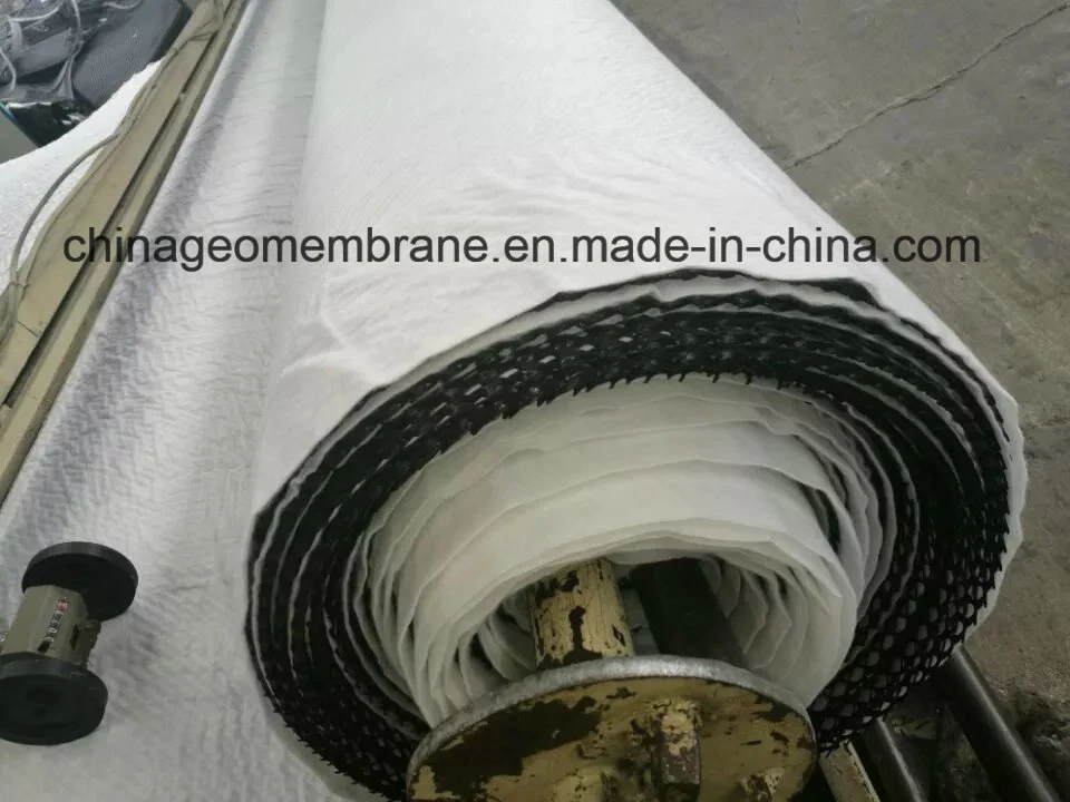 HDPE 3D Geocomposite Drain Geonet for Drainage