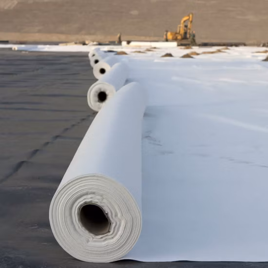 200g 300g por M2 Filamento Pet PP Geotextil no tejido de tela no tejida