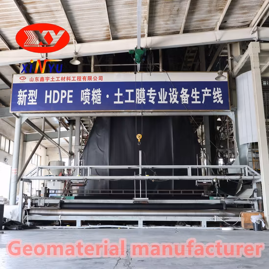 Geomembrana de HDPE texturizada de doble cara con revestimiento de dique antifiltración de 2,0 mm de espesor