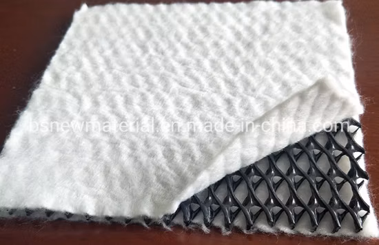 Proveedor de Tri-Planer Geonet HDPE de 7,6 mm de China