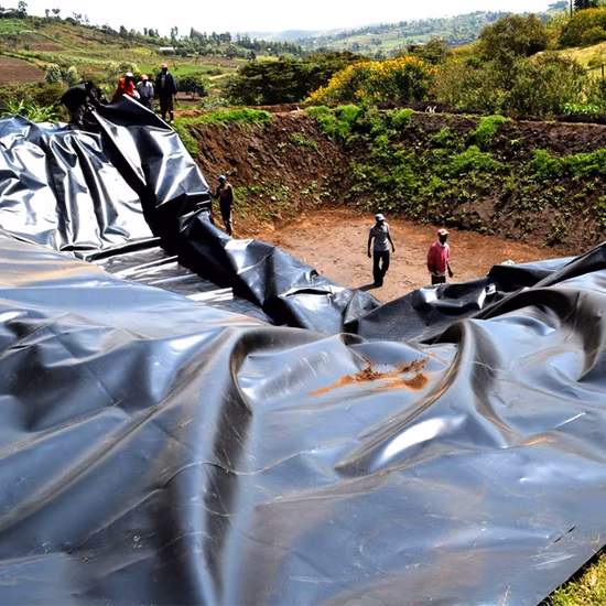 HDPE LDPE LLDPE PVC Estanque de agua Geomembrana de polietileno de plástico Hoja de revestimiento impermeable para estanque de piscicultura