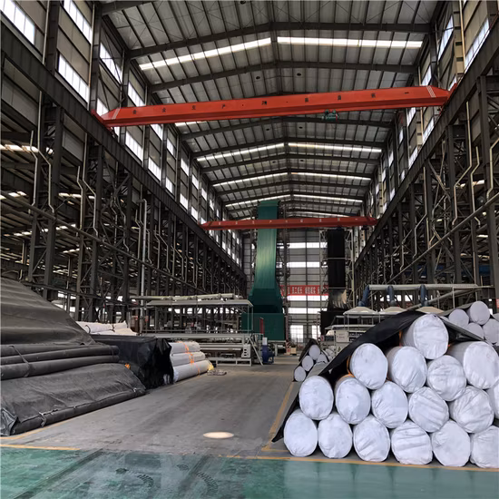 0,3 mm 0,5 mm 0,75 mm 1,0 mm 1,5 mm 2,0 mm Liso Blanco Negro Verde Azul HDPE LLDPE Geomembrana impermeable para revestimiento de estanque agrícola en Sri Lanka