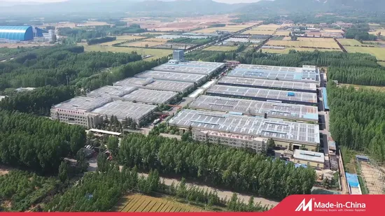 Muro de contención de geocelda de plástico HDPE en China